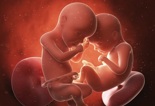 超详细的试管婴儿胚胎移植的全过程，快来了解！